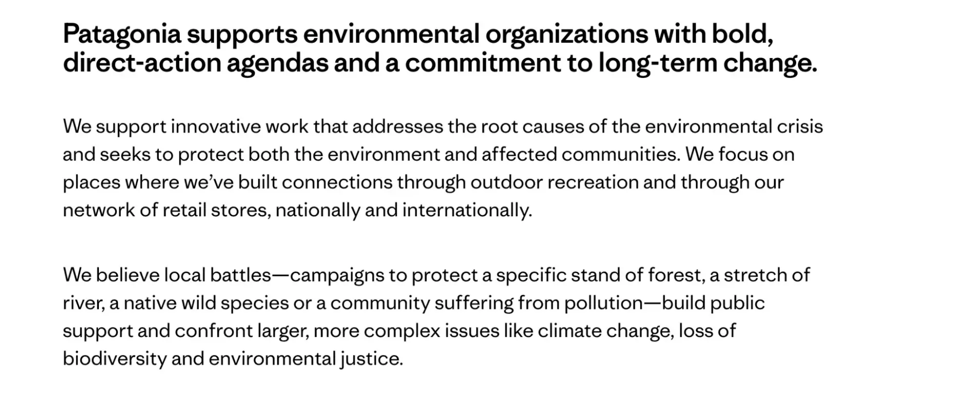 patagonia copywriting exampleshttps://www.patagonia.com/how-we-fund/